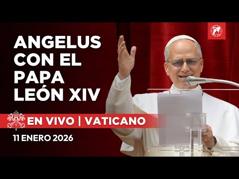 EN VIVO | Ángelus del Papa León XIV desde el Vaticano | 11 de Enero de 2026