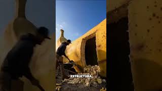 Este tipo construyó una casa con plátanos #shorts