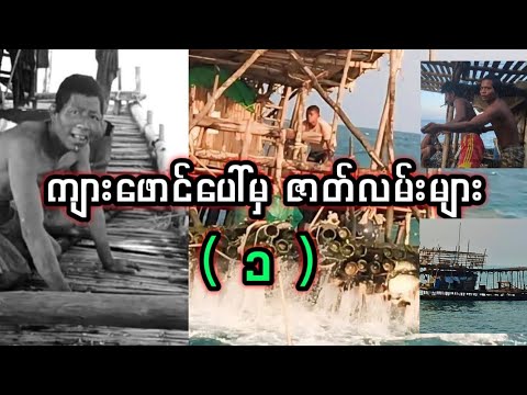 ကျားဖောင်ပေါ်မှ ဇာတ်လမ်းများ( ၁ )