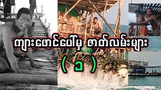 ကျားဖောင်ပေါ်မှ ဇာတ်လမ်းများ( ၁ )