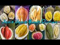 Kuis Tentang Durian