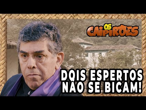 OS CAIPIRÕES - Dois espertos não se bicam