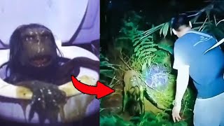 SCARY VIDEOS TO HOOK INTO YOUR NIGHTMARES TONIGHT!