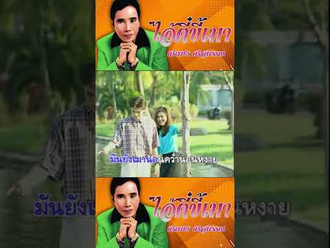 ไอ้ตี๋ขี้เมา – ศรเพชร ศรสุพรรณ #ศรเพชรศรสุพรรณ #เพลงเพราะ  #shorts