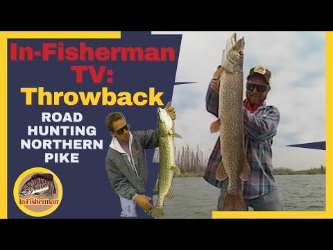 In-Fisherman Classics: Road Hunting Big Manitoba Pike