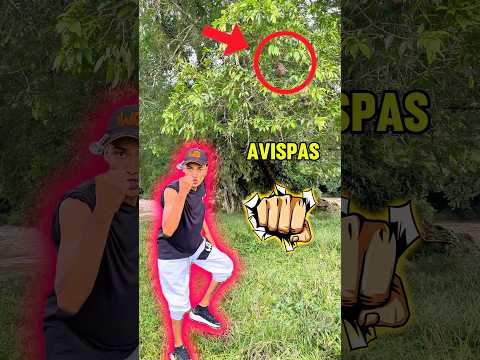 Solo Falta 1 SUSCRIPTOR MAS !! 🐝