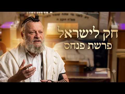 הרב דוד שטרית שליט''א - חק לישראל פרשת פנחס ואור החיים הקדוש -בית הכנסת היזדים  ט"ו תמוז תשפ''ו