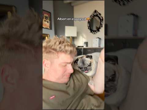 ALBERT EN ESPAGNOL