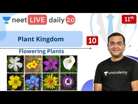 Flower Kingdom Promo Code 12 2021 Flower Kingdom Promo Code 12 2021, Flower Kingdom Palm Beach Gardens Promo Code 2021