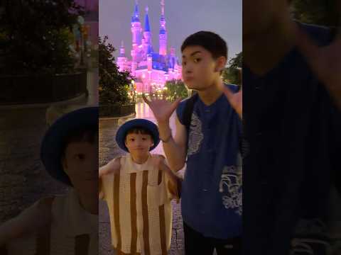 上海ディズニーランドで流行りのヤツをお城をバックに弟と踊ったよー🕺✨