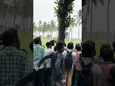 রাজশাহীতে তান্ডব সিনেমার শুটিং করছেন মেগাস্টার শাকিব খান সাথে সাবিলা নুর #shakibkhan #taandob #fyp