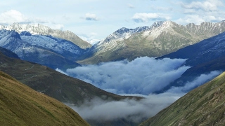 Fluxul live al utilizatorului MUSIC BABY SLEEP