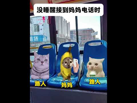 猫の動画サムネイル - 当没睡醒接妈妈电话时#有趣 #猫meme #猫meme剧场 #猫meme小剧场 #内容过于真实  #故事 #貓 #猫猫meme小剧场 #喵不可言