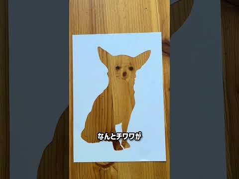 アーティストが床を見てひらめいた