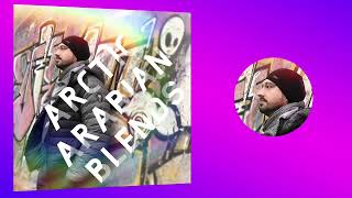 🇺🇳 Rap Fusion 🎧 ikon shahin - Arctic Jasmine (Instrumental) | Radio Lofoten