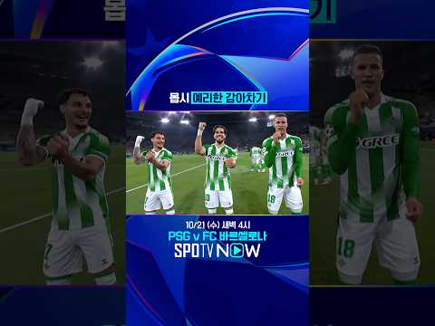 ZD의 정석 #SPOTVUCL