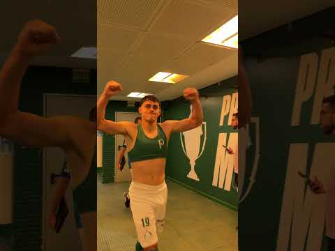 image para ilustrar o artigo