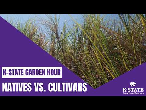 K-State Garden Hour Webinar: Natives vs. Cultivars--Making Informed Choices for Your Landscape