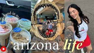 6 hour road trip from LA to AZ 🚗 going to my SISTERS house, AZ with littles & driving w/ 2 babies