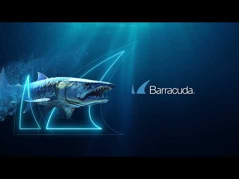 Barracuda | Fiercely Protecting Your Business