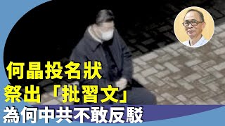 （字幕合成回顧）王岸然：解析李顯龍夫人何晶接連諷習近平，從黑幫老大到孤獨坐，批習不代表批中國？ （4.28首播）