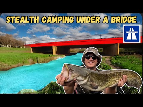 I Stealth Camped Under A Busy Motorway Bridge, With My Dog | Fishing & Cooking | Sleeping In A Tent