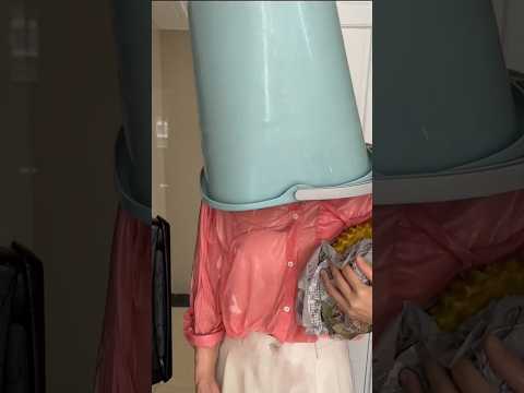 टोबो ने क्या कर दिया ? #shorts #facts #viral #ytshorts #shortsfeed
