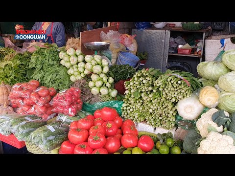 Hà Nội: Giá rau xanh tăng mạnh sau mưa lũ