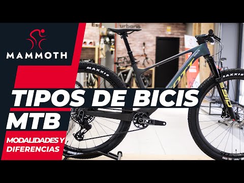 Mammoth Bikes YouTube Stats and Insights vidIQ YouTube Stats