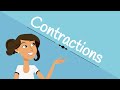 Contractions in English Grammar