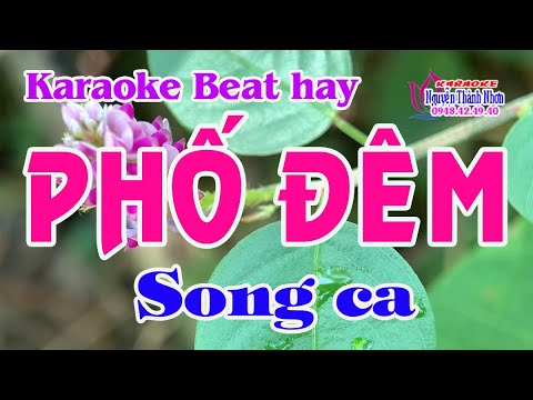 Karaoke PHỐ ĐÊM – SONG CA [ Beat hay ]