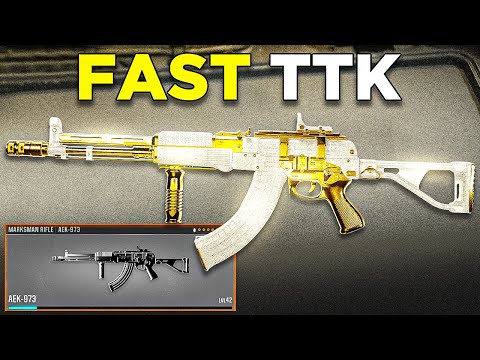 new AEK-973 is *META* in BLACK OPS 6! 👑 (Best AEK 973 Class Setup)