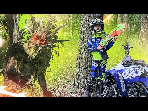 Den simula jugar con un Arbol gigante! | Los mejores videos para niños!