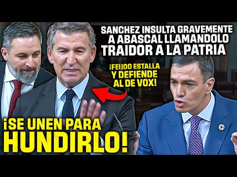 💥¡¡INSUPERABLE!!💥FEIJÓO DEFIENDE a ABASCAL de los INSULTOS de SÁNCHEZ ¡¡Y SE UNEN PARA HUNDIRLO!!