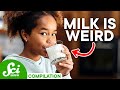 Understanding Milk and Its Role in Nature