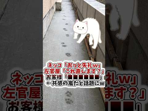 【ショート反応集】「コンクリートに猫の足跡」お客さまの反応に誰もが共感するwwwww #shorts #2ch