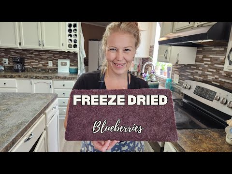 Freeze Dried Blueberries!