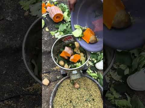 Máy xay thức ăn cho gia súc #maytronthucanchannuoi #channuoi #farming #maynghiencam #agriculture