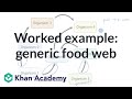 Understanding Food Webs