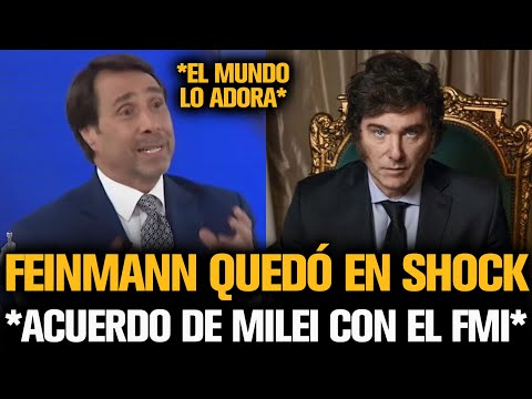 FEINMANN QUEDÓ SHOCKEADO TRAS EL ACUERDO DE MILEI CON EL FMI