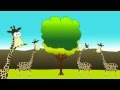 Understanding Darwin's Theory of Evolution