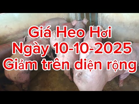 Giảm trên diện rộng