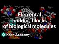Exploring the Elemental Foundations of Biological Molecules
