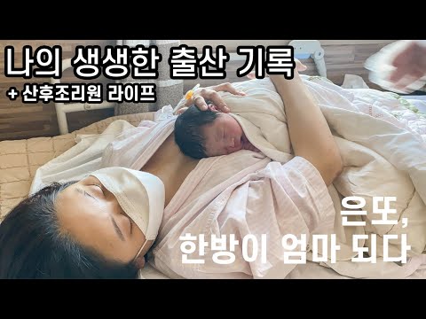 [출산 브이로그] 나의 출산부터 조리원생활까지! / 자연분만시도하다 결국 제왕절개 / 한방이의 탄생기록