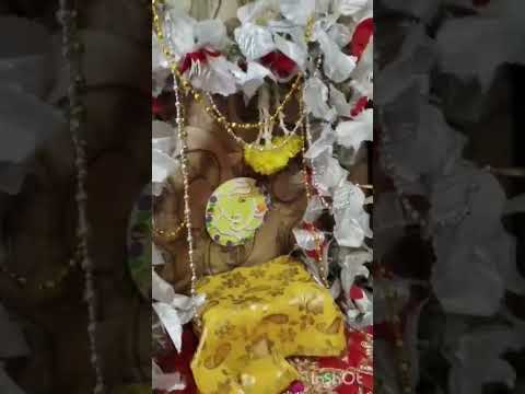 Ganpati Bappa Morya 🙏 | Ganesh Chaturthi 2025
