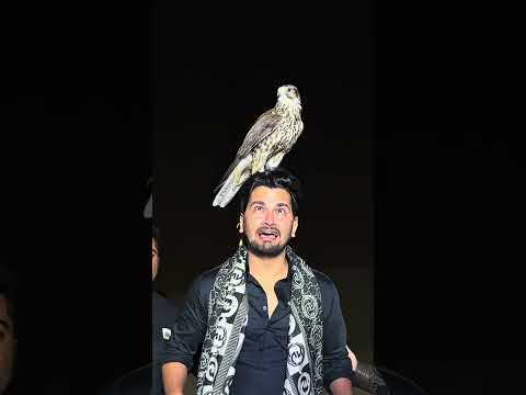 #zamelectproperties #abdulghafoor #muhammadshakoor #zamzamperfumes #zamzamelectronics #zamzmbrothers