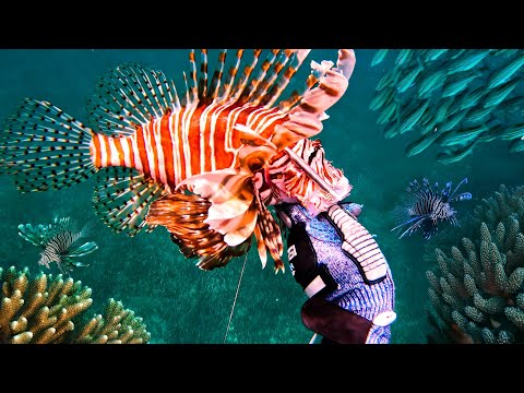 Free Fish Hack! | Just Go to the Bahamas on a Boat