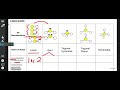 Molecular Shapes: Linear vs. Bent