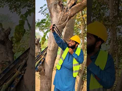 Monchi NY birds ko bacha Lia 3 #shorts #youtubeshorts