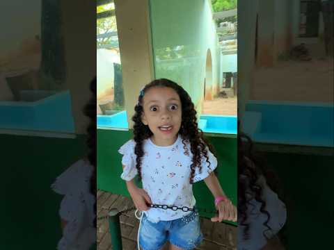 PRESOS NO ZOOLÓGICO #shorts